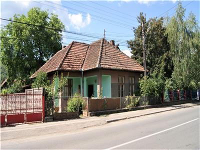 Oportunitate  Casa si teren in Criscior , judet Hunedoara