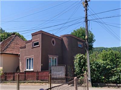 Casa cu utilitati in Criscior,  jud Hunedoara.