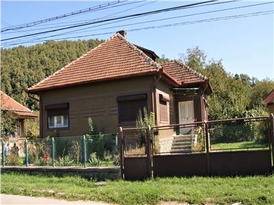 Casa traditionala 4 camere plus anexe in Brad EXCLUSIV - comision 0