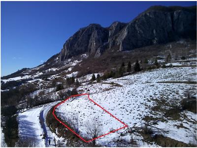 Spre vanzare 1922 mp teren la munte in alintul Masivului Vulcan, Ciuruleasa, Jud Alba.