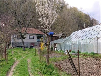 Casa si 3919 mp teren intravilan  in  Bucuresci, jud. Hunedoara