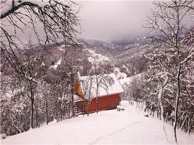 Cabana renovata in Apuseni, Buces, Hunedoara