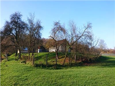 4739 mp Teren intravilan, casa si anexe in Brad, Hunedoara