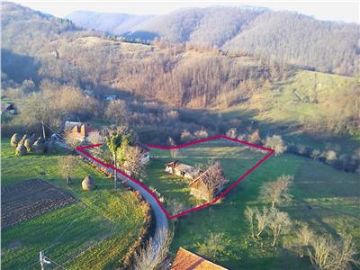 10032 mp Teren intravilan si constructii in Luncoiu de Jos, Hunedoara