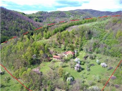 Domeniu de 7 ha in Apuseni - Criscior, Hunedoara
