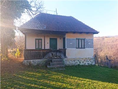 10032 mp Teren intravilan si constructii in Luncoiu de Jos, Hunedoara