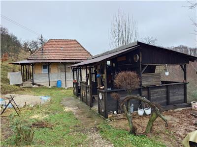Casa si jumatate de hectar de teren la munte