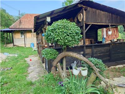 Casa si jumatate de hectar de teren la munte