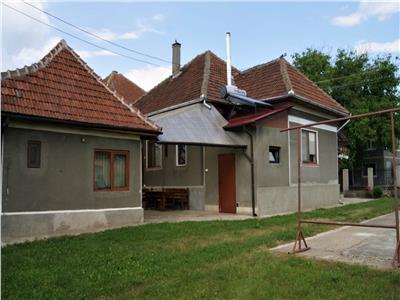 Casa, anexe si 2500 mp teren la DN74 Brad Abrud
