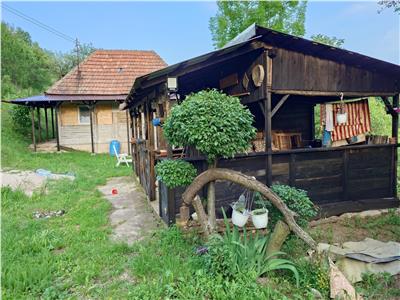Casa cu teren si padure la tara