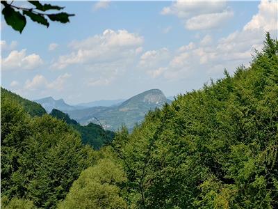 Teren montan cu priveliste si izvor - 5727mp in Buces, langa padure

