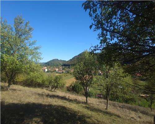 14075 mp teren partial intravilan, cu acces la utilitati - Criscior