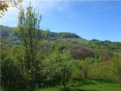 Teren intravilan si cladire in Apuseni, Blajeni, Hd