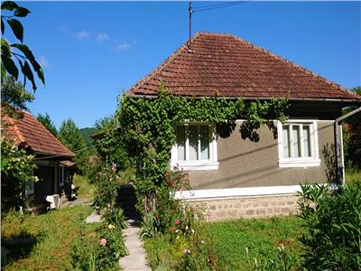 Casa si 1900 mp teren intravilan in Loc. Zdrapti, Com Criscior, Jud. Hunedoara.