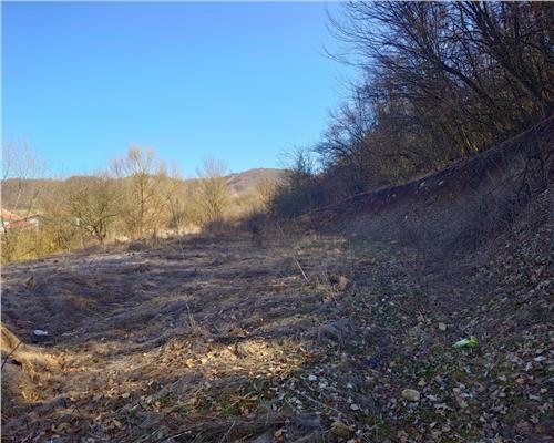 Teren intravilan la liziera padurii