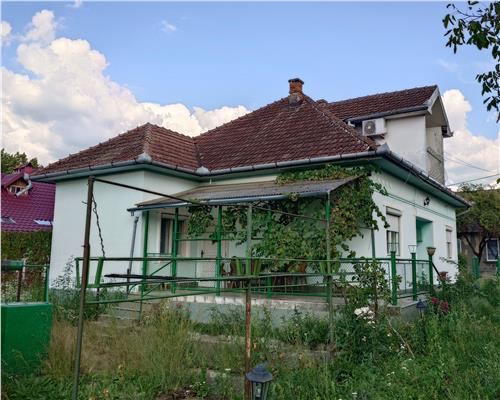 Casa P+M cu teren generos si loturi suplimentare in Baia de Cris