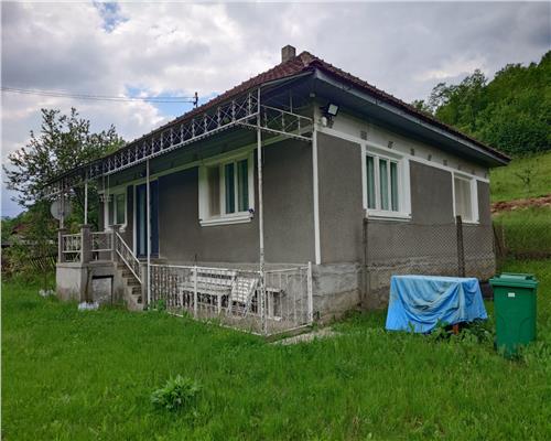 1.3 haTeren si  Casa Luncoiu de Jos