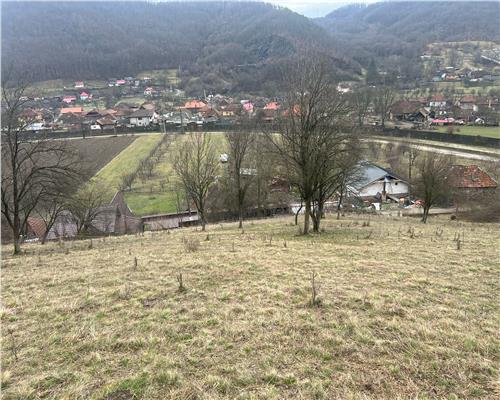 Teren intravilan si extravilan Luncoiu de Jos