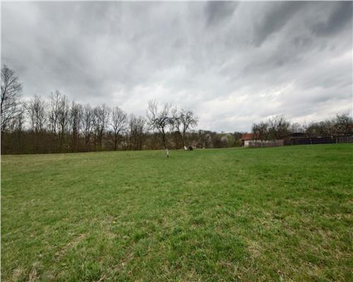 Teren aprox 1ha plus Casa Tebea