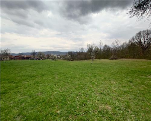 10 000 mp teren intravilan cu priveliste