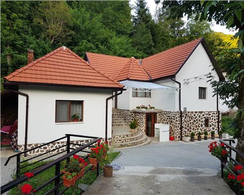 Pensiune Bulzestii de Sus