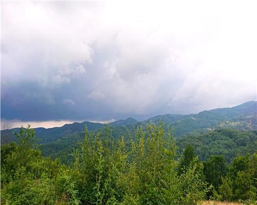 Teren cu Padure in Bulzestii de Sus 4200mp