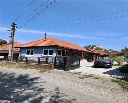 Casa renovata cu teren si anexe in Birtin