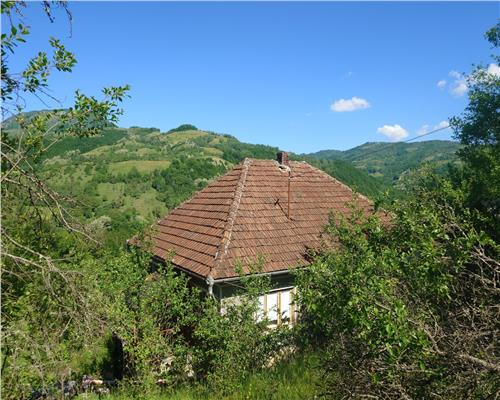 1,3 haTeren si cladiri in Blajeni
