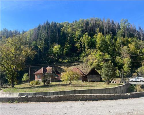 Doua case, teren si padure in Mihaileni - Buces