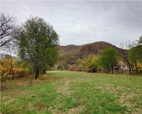 Teren intravilan 2500mp Criscior