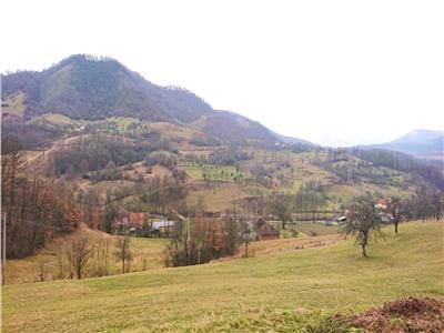 11.785 mp Teren la munte, peisaj deosebit, sat Trestia, com. Baita, Hunedoara
